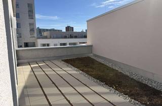 Wohnung mieten in 85540 Haar, Snnige 5-Zimmerwohnung mit umlaufender Dachterrasse in Haar