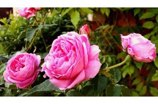 Haus mieten in 79238 Ehrenkirchen, Nachmieter ab 01.01.2026, 170qm Einfamilienhaus, gehobene Innenausstattung und EBK in Ehrenkirchen