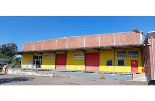 Gewerbeimmobilie mieten in 25524 Itzehoe, Beheizbare Verkaufs- und Lagerhalle in Itzehoe zu vermieten