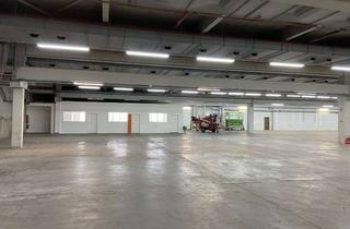 Büro zu mieten in Großbeerenstraße 174-184, 12277 Berlin, 4513 m² ebenerdige Lagerhalle inkl. Büro und Sozialraum in Berlin Marienfelde verfügbar