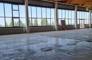 Büro zu mieten in Römerstraße 23, 89278 Nersingen, Lagerfläche mit Einzelbüros im 1.OG, Lagerflächen, Lastenaufzug und Parkflächen