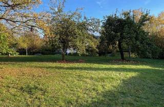 Grundstück zu kaufen in 35614 Aßlar, Baugrundstück - von der Sonne verwöhnt!