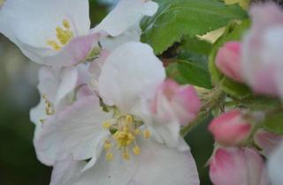 Grundstück zu kaufen in 83043 Bad Aibling, Baugrundstück in gepflegter Wohnlage von Bad Aibling | IMMOBILIEN BEILHACK