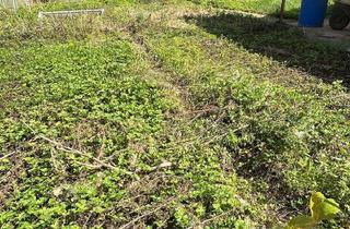 Grundstück zu kaufen in 63776 Mömbris, Wir haben es gefunden! Ihr ebenerdiges Grundstück