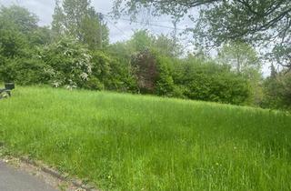 Grundstück zu kaufen in Alte Landstraße 23, 57271 Hilchenbach, Baugrundstück in Hilchenbach-Allenbach – Ideal für Familien oder Investoren!