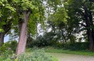 Grundstück zu kaufen in 38644 Goslar, Grünfläche im schönen Vorharz