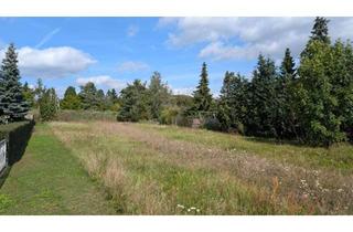 Grundstück zu kaufen in 15913 Märkische Heide, Baugrundstück in Wittmannsdorf 15913 Märkische Heide