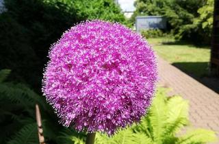 Büro zu mieten in Adersheimer Straße 17, 38304 Wolfenbüttel, Büro/ Praxisetage in bester Lage in Wolfenbüttel mit Parkplätzen