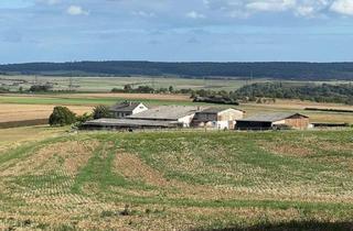 Immobilie kaufen in 35516 Münzenberg, Wohnhaus mit Scheune/Nebengebäude - Reitplatz in sonniger Alleinlage