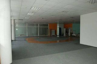 Gewerbeimmobilie mieten in Leipziger Straße 19, 06712 Grana, Attraktiver Showroom in Grana zur Miete