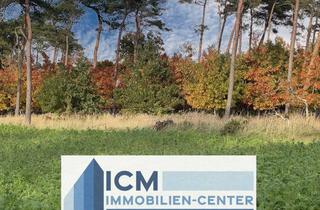 Gewerbeimmobilie kaufen in 04838 Laußig, Wunderschöner geschlossener Wald zu verkaufen.