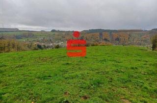 Grundstück zu kaufen in 54675 Mettendorf, Landwirtschaftliche Grünlandfläche