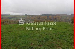 Grundstück zu kaufen in 54675 Mettendorf, Landwirtschaftliche Grünlandfläche