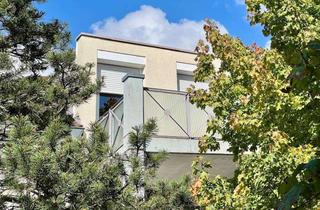 Wohnung kaufen in 88444 Ummendorf, Vermietete 2-Zimmer-Dachgeschoss-Wohnung in Ummendorf