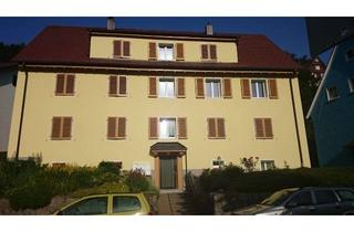 Wohnung mieten in 78098 Triberg, Frisch renovierte 3-Zi-Whg mit Balkon und EBK in Triberg