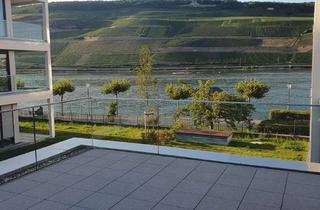 Wohnung mieten in Hafenstraße 19, 55411 Bingen, Exklusive 2-Zimmer-Wohnung mit Balkon in Bingen