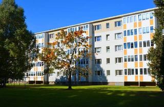 Wohnung mieten in Westring 51, 08393 Meerane, Wohnen mit Weitblick am südlichen Stadtrand!-2-Raumwohnung in beliebter Lage!