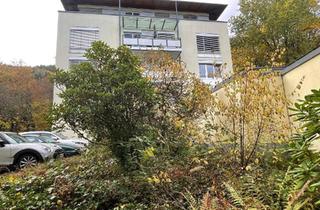 Wohnung mieten in 76332 Bad Herrenalb, Moderne 2 ZKB-Wohnung mit Lift & EBK in TOP-Lage in Bad Herrenalb, 59qm + 2 Balkone, € 580,- + NK/HZ