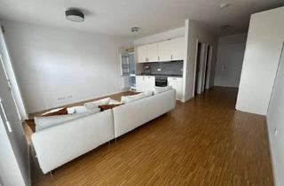 Wohnung mieten in 65931 Sindlingen, Neubau nach Erstbezug helles 1 Zimmer Apartment KfW 40+, EBK, Balkon