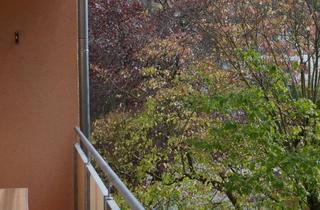 Wohnung mieten in 64673 Zwingenberg, Zwingenberg: frisch renovierte, helle 3-Zimmer-Wohnung mit Südbalkon im 2. OG