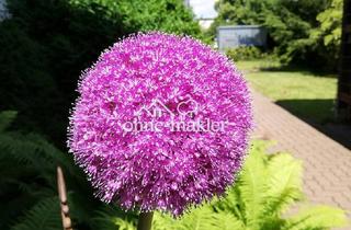 Büro zu mieten in 38304 Wolfenbüttel, Büro/ Praxisetage in bester Lage in Wolfenbüttel mit Parkplätzen