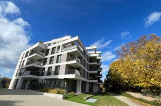 Wohnung mieten in 68526 Ladenburg, Ruhige und exklusive 4-Zimmer Wohnung mit großem Balkon Neubau In den Martinsgärten - Ladenburg