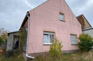 Einfamilienhaus kaufen in Straße Nach Pülzig 61, 06869 Senst, EFH mit großen Grundstück in Senst bei Köselitz (5 Autominuten zur A9)