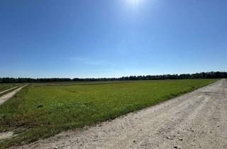 Grundstück zu kaufen in 85241 Hebertshausen, Hochwertiger Wasserkies in Reichweite – jetzt auf die Zukunft setzen