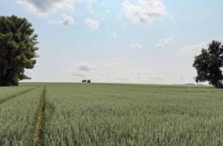 Grundstück zu kaufen in Unterer Steig, 94099 Ruhstorf, Herrliches Baugrundstück in ruhiger Ortsrandlage mit Südausrichtung