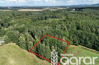 Grundstück zu kaufen in 01877 Demitz-Thumitz, Eichenmischwald mit Durchforstungspotential zw. Bautzen und Bischofswerda bei Demitz-Thumitz