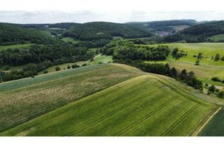 Grundstück zu kaufen in 67806 Katzenbach, Landwirtschaftsfläche zum Verkauf