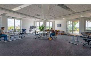 Büro zu mieten in 13509 Wittenau, Helles Büro mit Meeting-Raum und Dachterasse in Reinickendorf - All-in-Miete