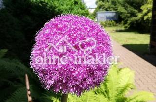 Büro zu mieten in Adersheimer Straße 17, 38304 Wolfenbüttel, Büro/ Praxisetage in bester Lage in Wolfenbüttel mit Parkplätzen