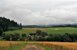 Haus kaufen in 79780 Stühlingen, Stühlingen - Landwirtschaftliches Anwesen - Pferdepension