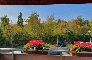 Wohnung kaufen in 34246 Vellmar, Vellmar - Schöne helle 3-ZKBB wunderbare Lage am Ahnepark Blick ins Grüne EBK Hausordnung inkl.