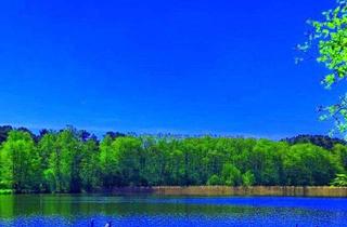 Einfamilienhaus kaufen in 12527 Berlin, Berlin - Haus am See - 1.350 m² mit privatem Wasserzugang, nur 2 Min bis Berlin - diskreter Privatverkauf