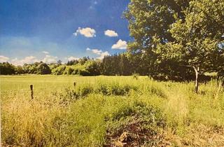 Bauernhaus kaufen in 54516 Wittlich, Wittlich - Kleiner Bauernhof, Weitblick, Pferdeparadies, Selbstversorger