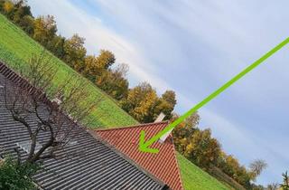 Haus kaufen in 76646 Bruchsal, Bruchsal - Wohnen, leben und arbeiten auf 1725 m² Grundstück -provisionsfrei