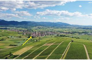 Reihenhaus kaufen in 79238 Ehrenkirchen, Ehrenkirchen - VON PRIVAT 5-Zi Reihenmittelhaus Ehrenkirchen Umland Freiburg