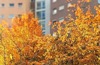 Wohnung kaufen in 88339 Bad Waldsee, Bad Waldsee - 2 Zimmer-Wohnung einer Wohnanlage für die Generation ab 50 Jahre