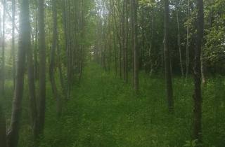 Bauernhaus kaufen in Straße 70, 13353 Berlin, Berlin - Kleiner Bauernhof zu verkaufen