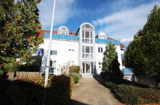 Wohnung kaufen in 75015 Bretten, Goßzügige Erdgeschosswohnung in Bretten!