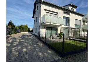 Wohnung mieten in 64584 Biebesheim, Attraktive 2-Zimmer Wohnung mit Balkon in Biebesheim am Rhein