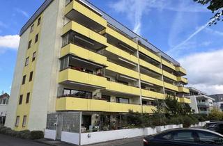 Wohnung mieten in Sindlinger Straße 10, 65830 Kriftel, Kriftel: Frisch renovierte, große 4-Zi.-Whg. (3. OG mit Aufzug) mit SW-Balkon und KFZ-Stellplatz!