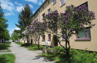 Wohnung mieten in Muskauer Str., 03042 Sandow, Stopp! Renovierte 2 1/2-Raum Wohnungen in ruhiger Lage!