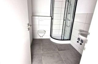 Wohnung mieten in Friedrichstr., 95028 Innenstadt, Drei neu renovierte Apartments mit Einbauküche