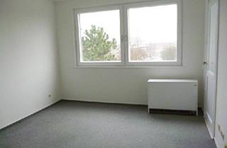 Wohnung mieten in Bekkampsweg, 22045 Jenfeld, Beim EKZ Jenfeld: Attraktive, renovierte, sonnige, zentrale 1-Zi-Whg