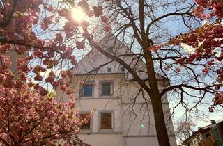 Wohnung mieten in Scheibenstr. 45, 48153 Münster, Renovierte 3-Zimmer-Dachgeschoss-Wohnung in Münster-Geist!