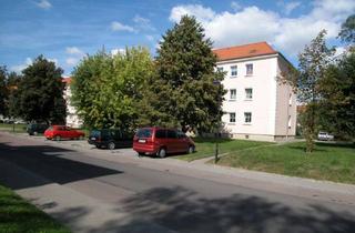 Wohnung mieten in Herweghstraße, 06242 Braunsbedra, Willkommen in Braunsbedra im Geiseltal - 2-Raum-Wohnung