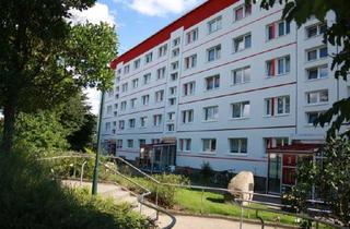 Wohnung mieten in Schleswiger Str., 17192 Waren, 2 Zimmer Wohnung in Waren (West)